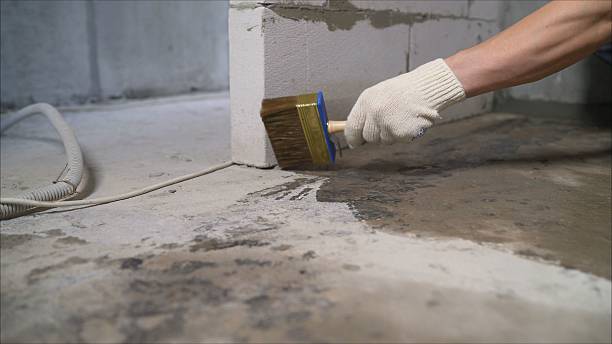 24/7 Emergency Exterior Waterproofing experts in Rushsylvania, OH